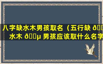 八字缺水木男孩取名（五行缺 🐯 水木 🐵 男孩应该取什么名字）